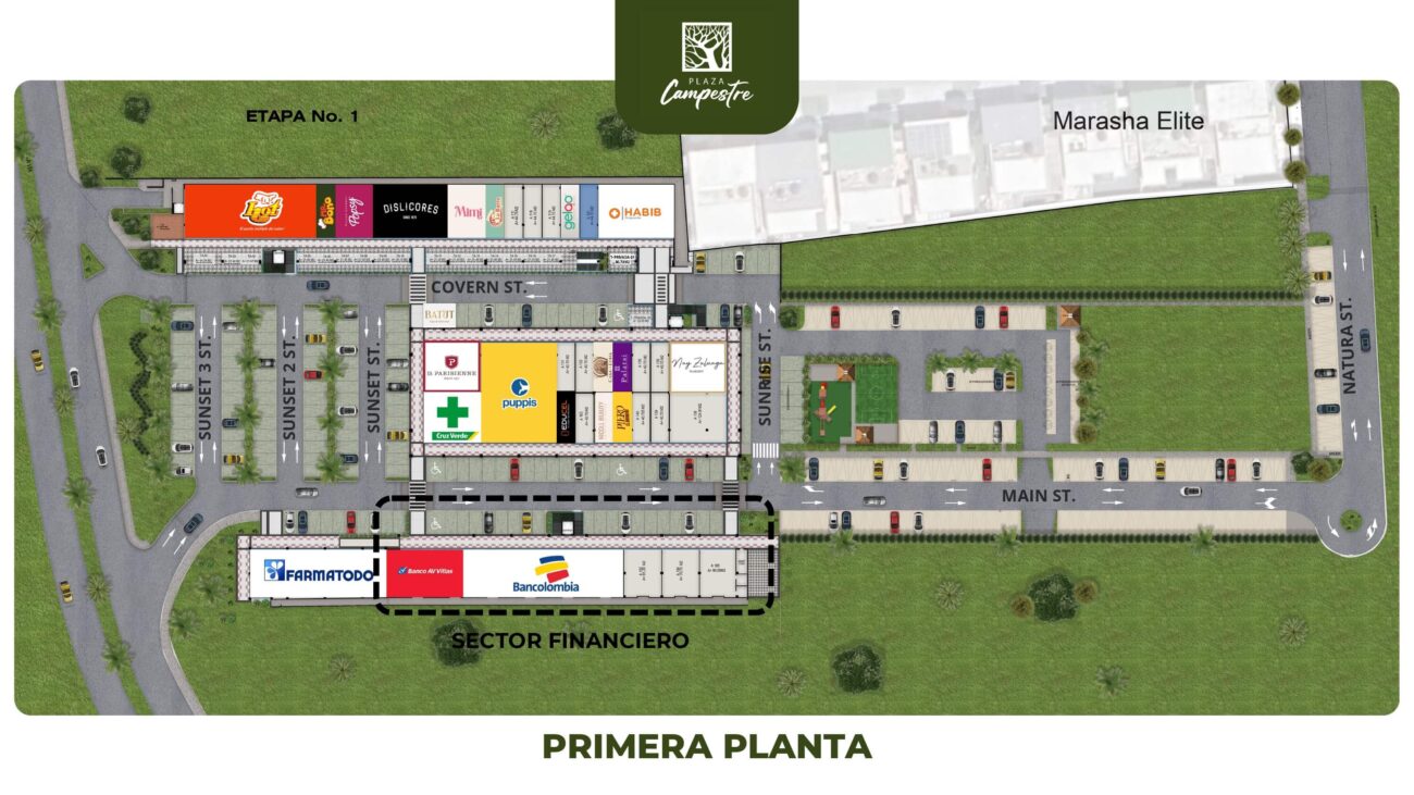 PLANTAS AMBIENTADAS_page-0001