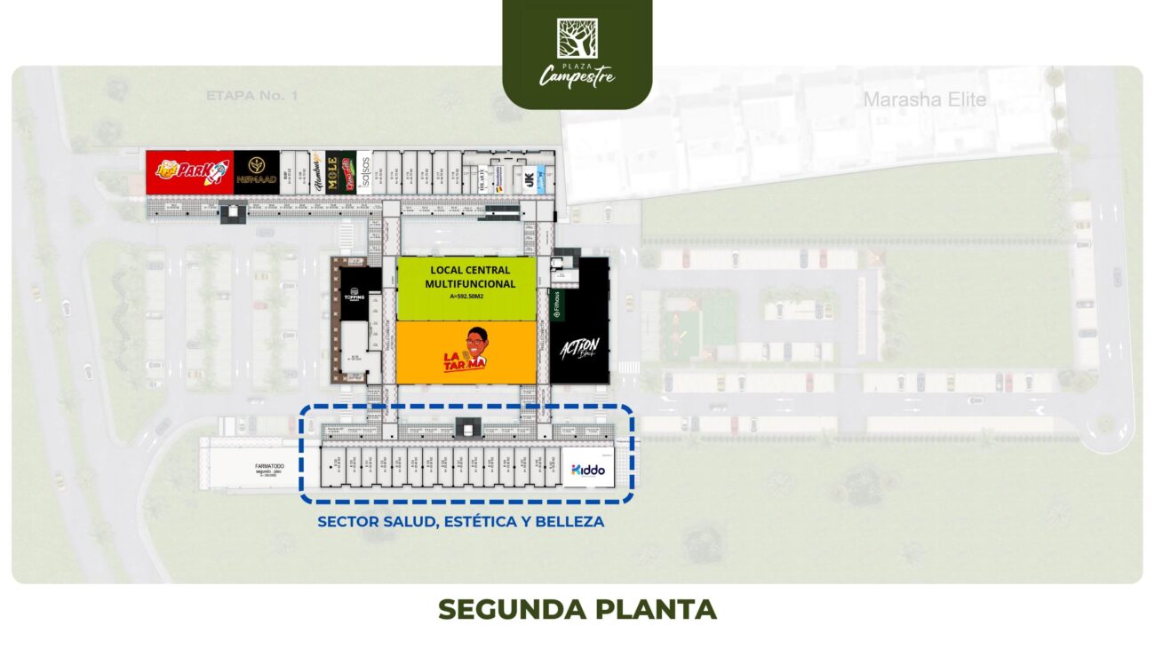 PLANTAS AMBIENTADAS_page-0002